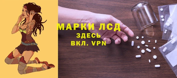 ГАЛЛЮЦИНОГЕННЫЕ ГРИБЫ Осинники